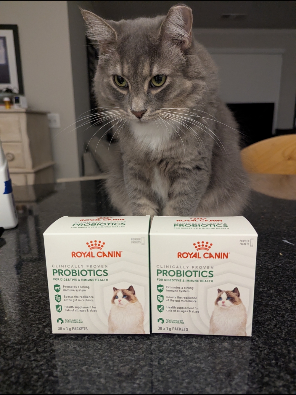 Probiotics for Cats - White/Grey Packaging